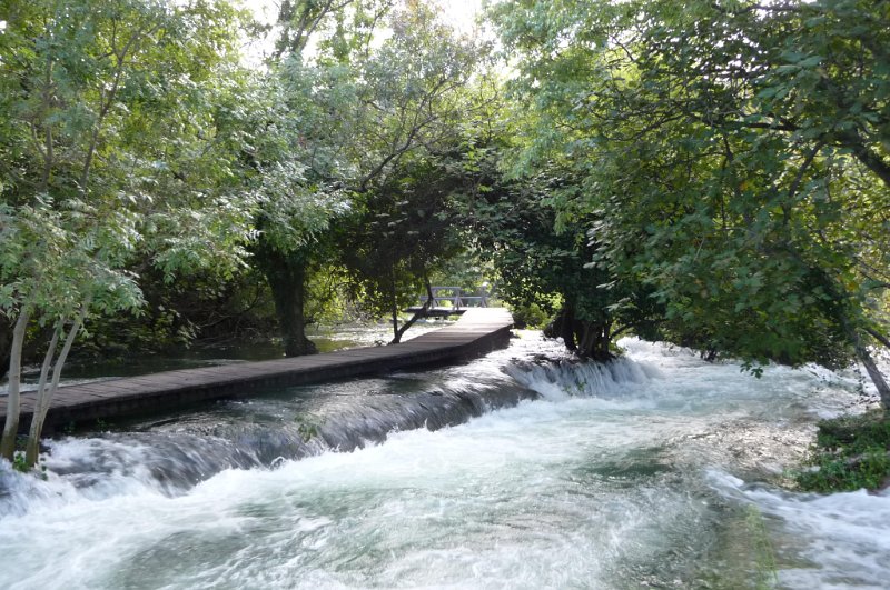 P1040243.JPG
