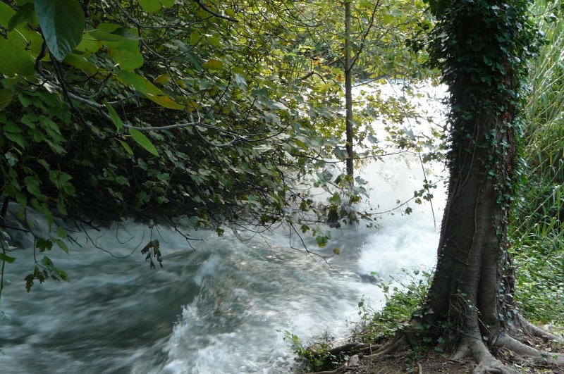 P1040246.JPG