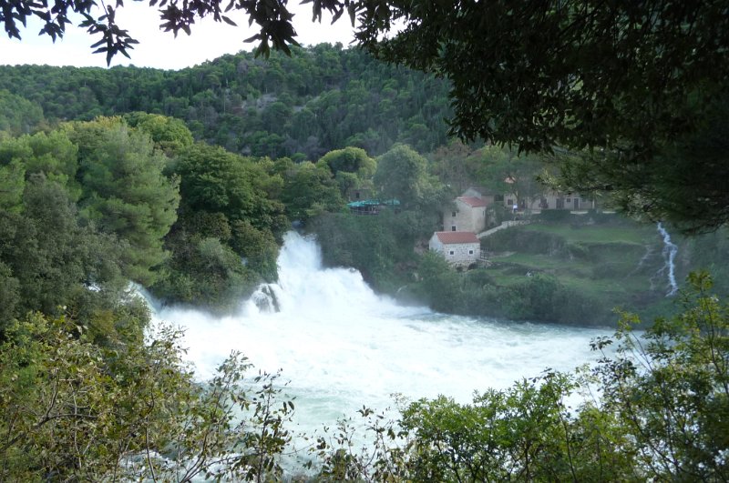 P1040255.JPG