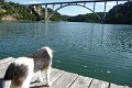 P1040299