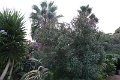 P1040361