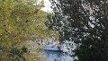 P1030711