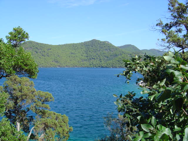 Dsc01299.jpg