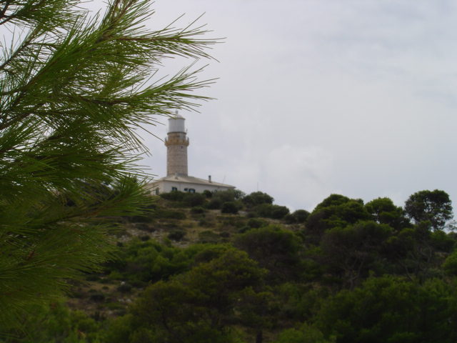 Dsc01303.jpg