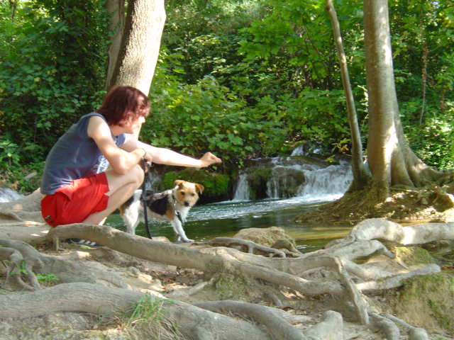 Dsc01307.jpg