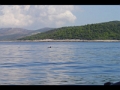 Dsc01296