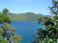 Dsc01299