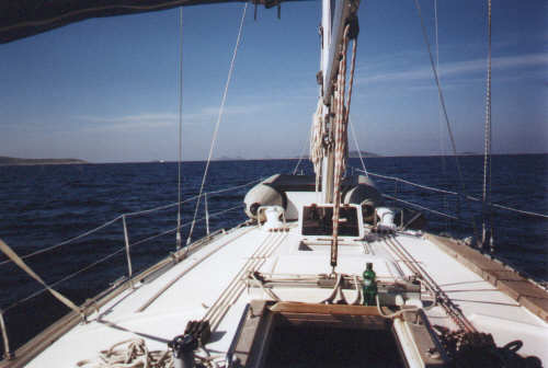 Bav42_1.jpg