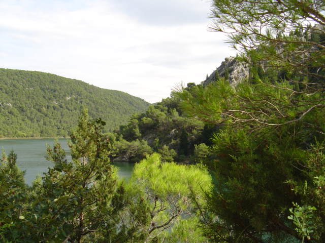 Dsc01782.jpg