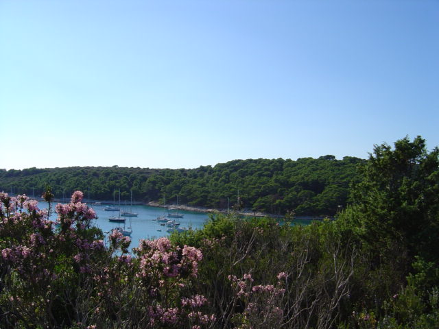 Dsc01786.jpg