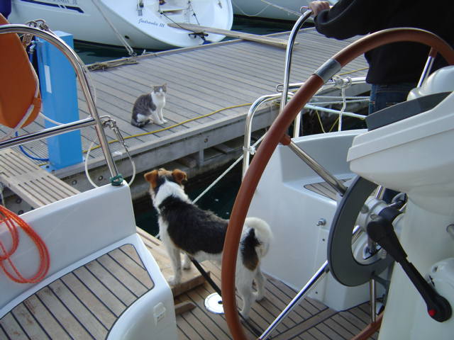 Dsc01789.jpg