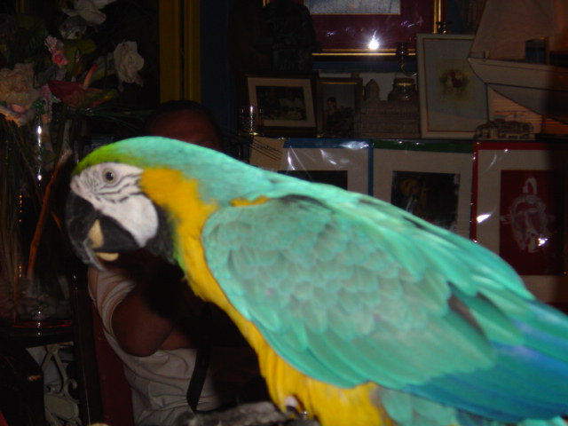 Dsc01790.jpg