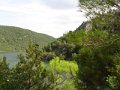 Dsc01782