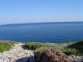Dsc01785