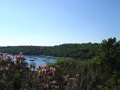 Dsc01786