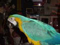 Dsc01790
