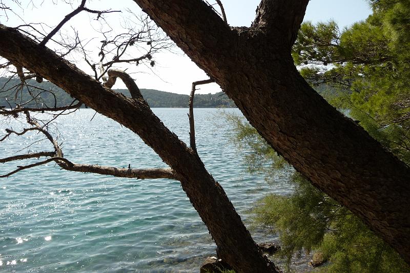 P1000310.JPG