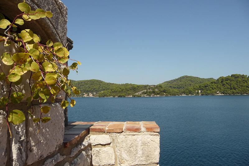 P1000313.JPG