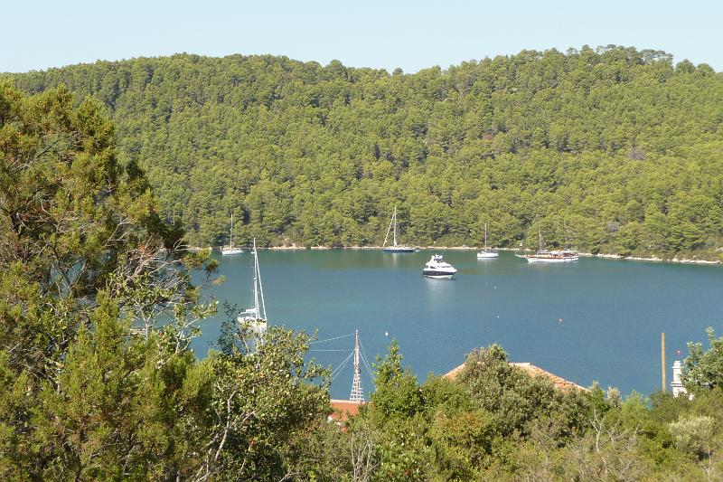 P1000316.JPG