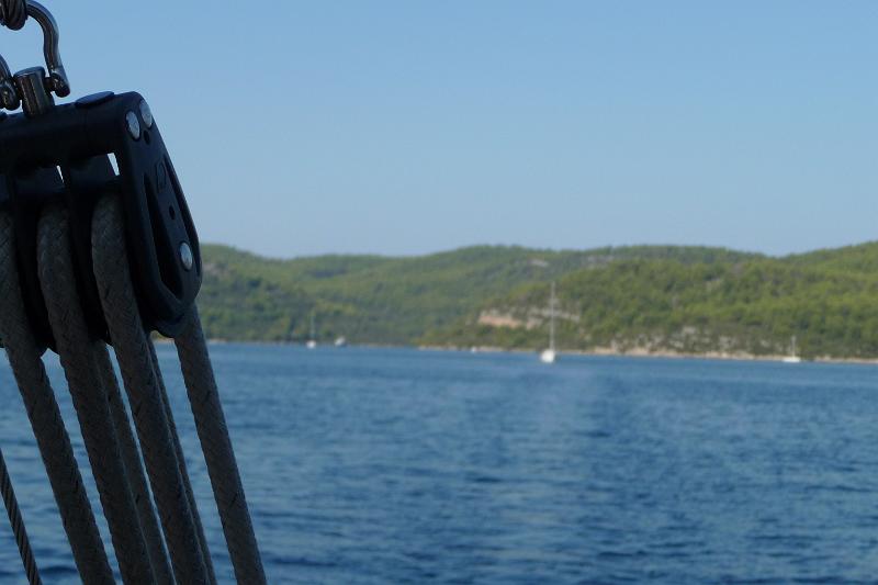 P1000333.JPG