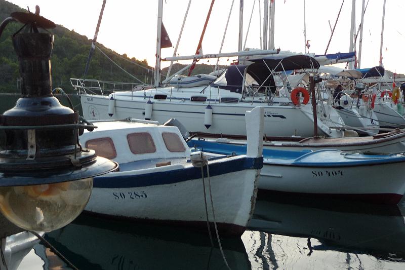 P1000338.JPG