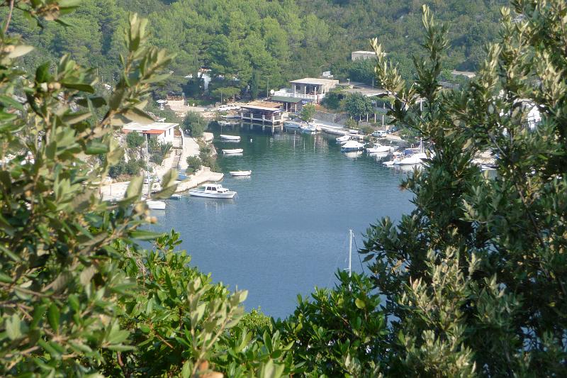 P1000368.JPG