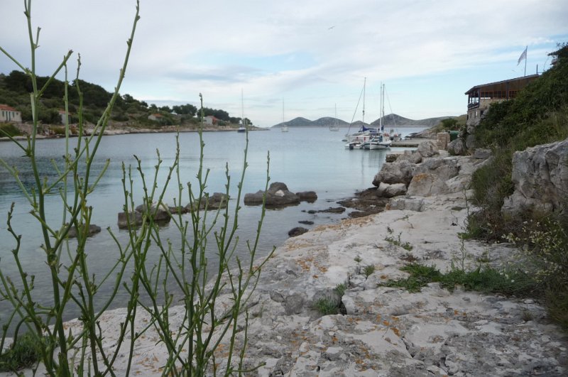 P1050153.JPG