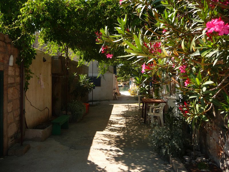 P1050206.JPG