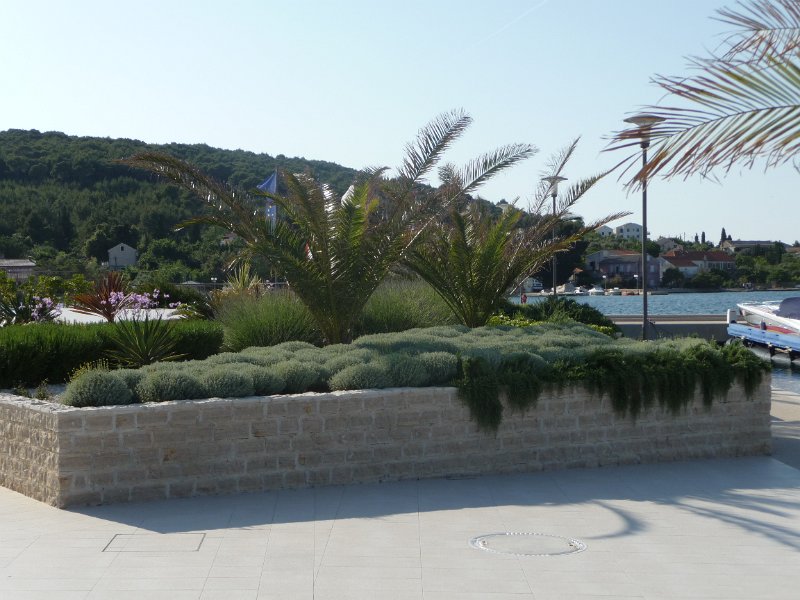 P1050256.JPG