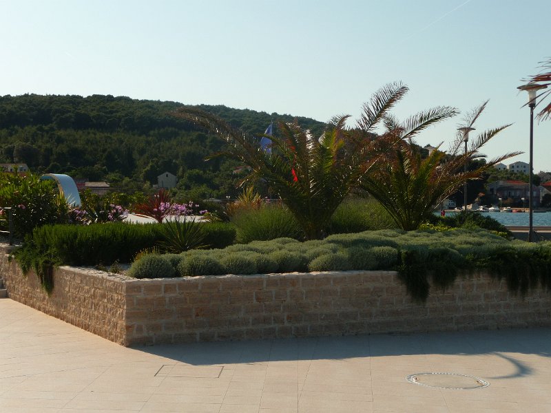 P1050257.JPG
