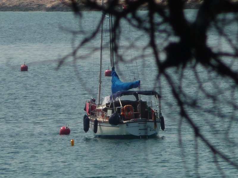 P1050396.JPG