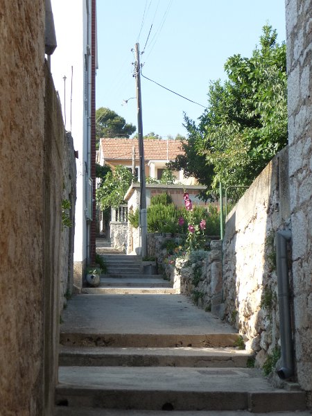 P1050417.JPG