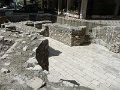 P1050253
