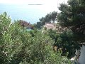 P1050331