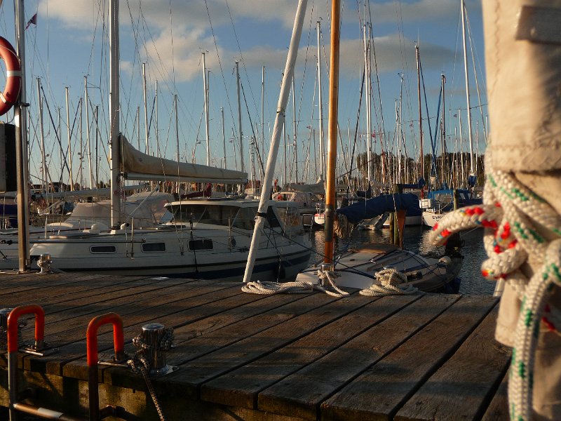 P1050628.JPG