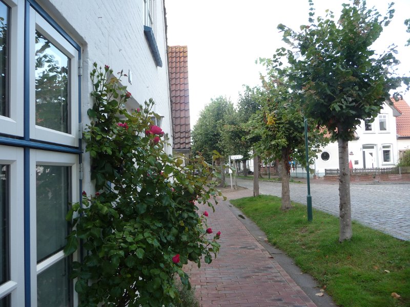 P1050637.JPG