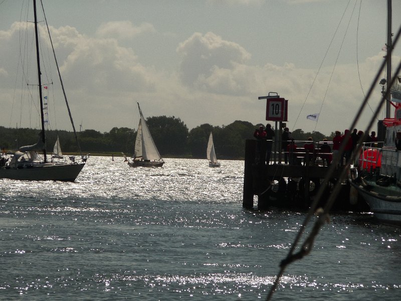 P1050683.JPG