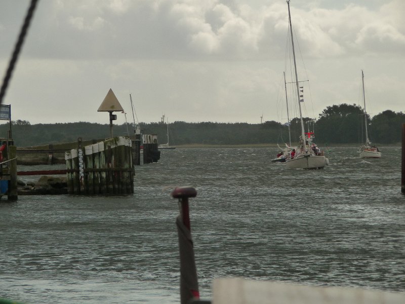 P1050686.JPG
