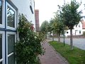 P1050637