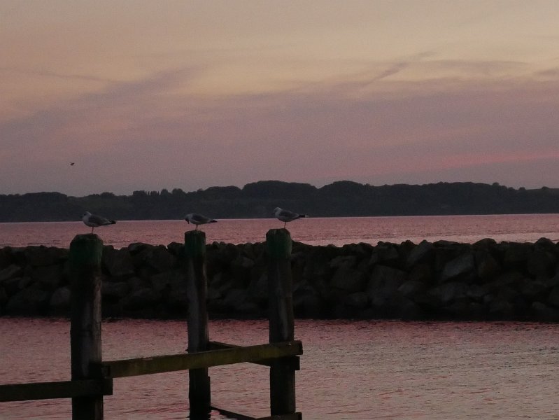 P1010658.JPG