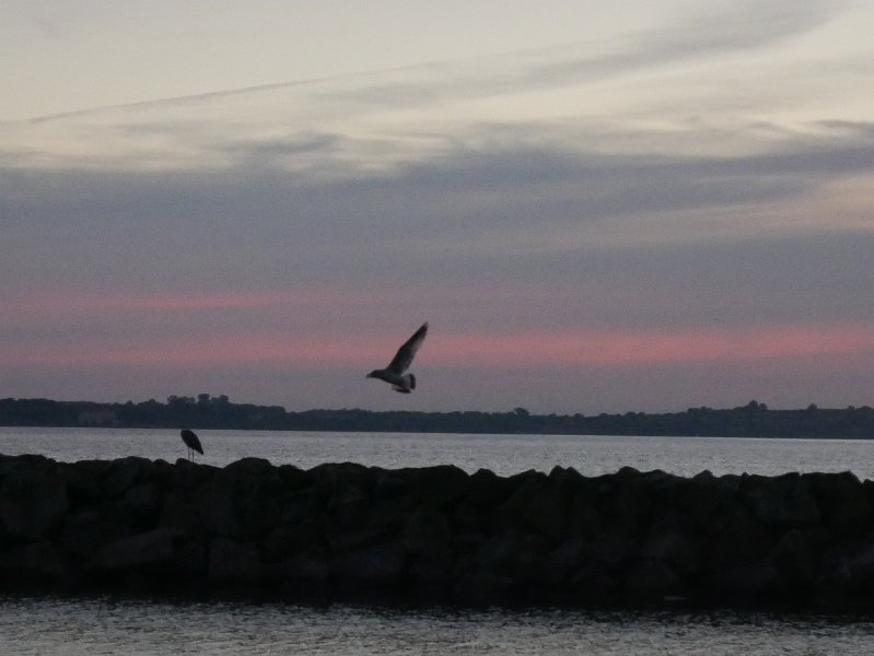 P1010665.JPG