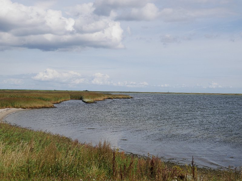 P1010719.JPG