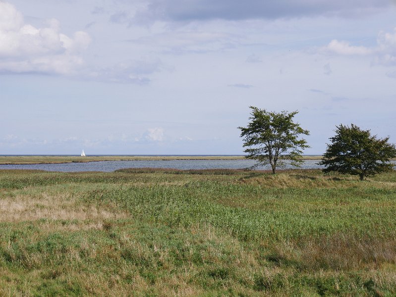 P1010726.JPG
