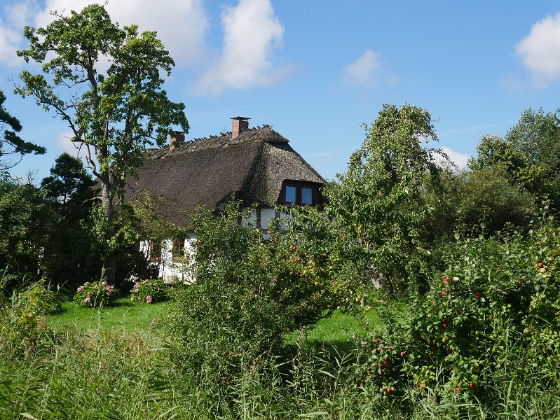 P1010761.JPG