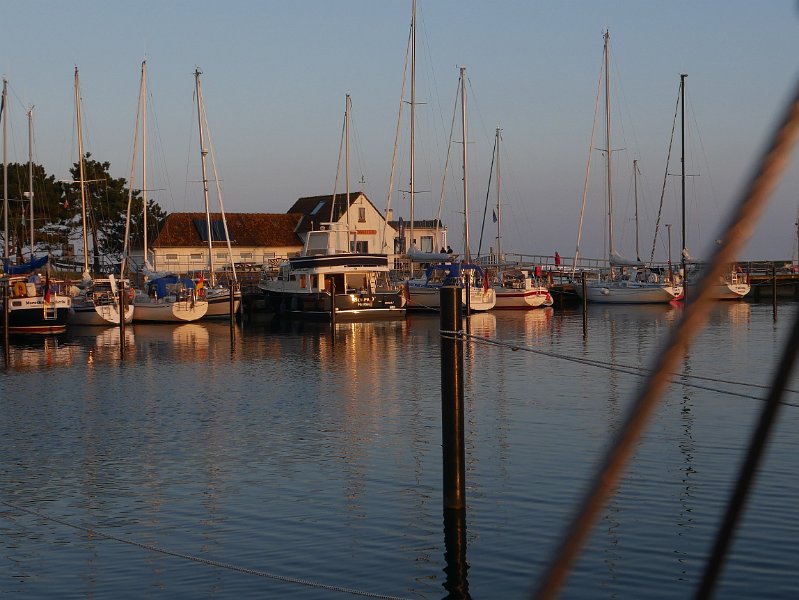 P1010786.JPG