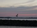 P1010665