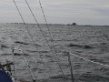 P1010709