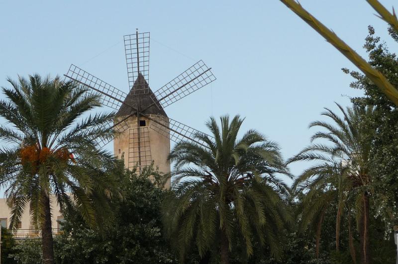 P1010224.JPG