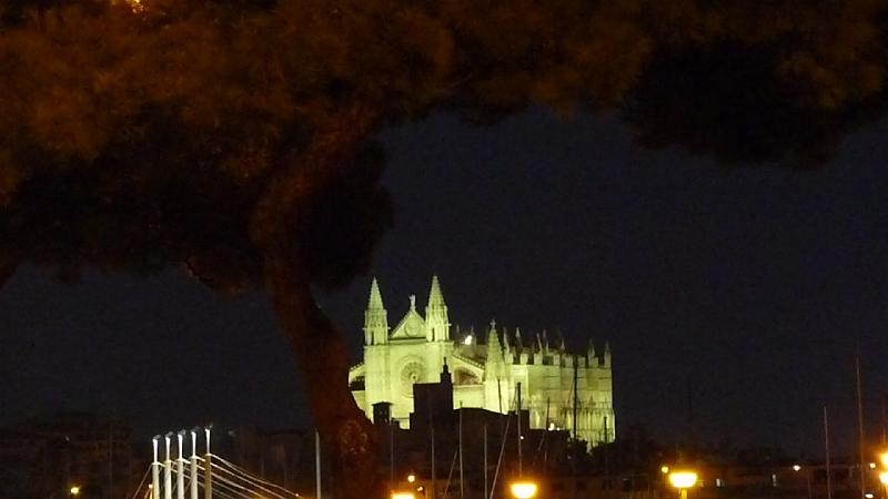 P1010232.JPG