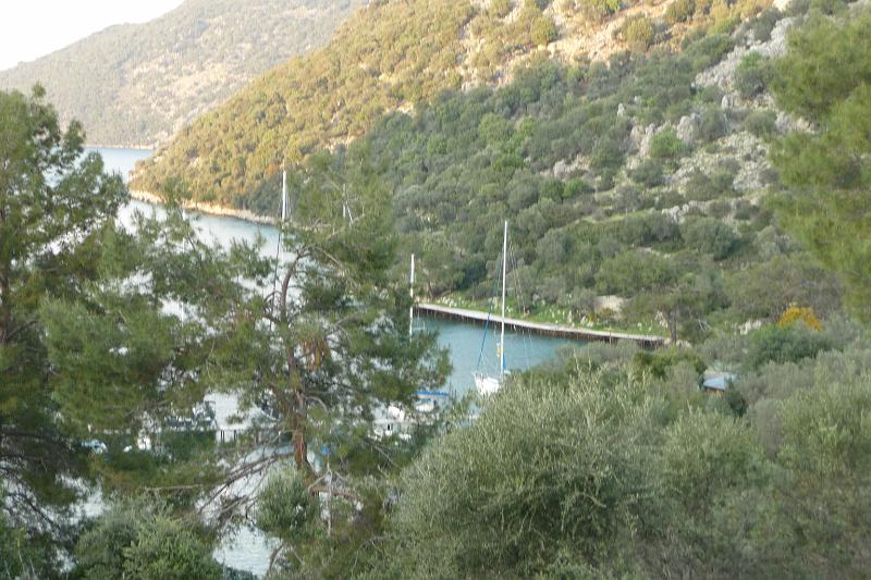 P1000226.JPG